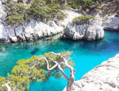 France Relance : 1,7 million d’euros pour le Parc des Calanques en 2022