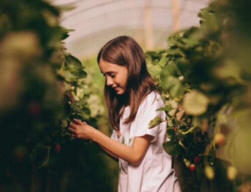 Salon de l’Agriculture : Pernod Ricard France fédère pour préserver les terroirs