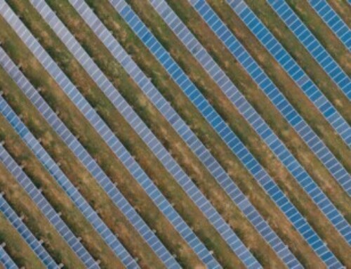 Carbon choisit Fos-sur-Mer, en région sud, pour sa première giga-usine de photovoltaïque