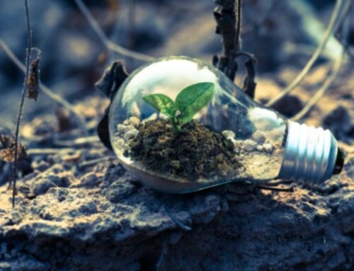 Pourquoi le fonds d’innovation durable Mirova regarde vers le Sud